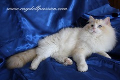 horatio9