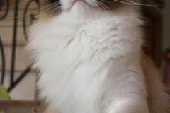 IMG_5883