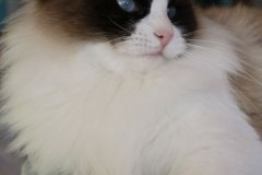 IMG_5904